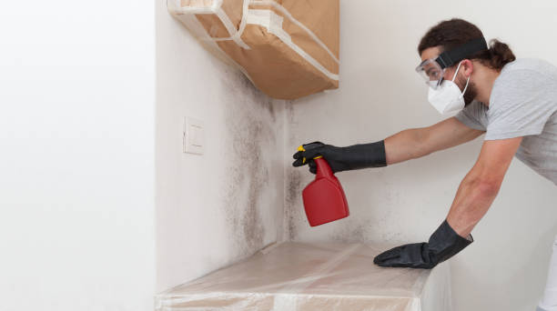 Professional Basement Mold Remediation technician working in Bellmore, NY